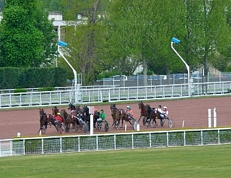 Quinze juments ont rendez-vous dans le Tiercé, Quarté, Quinté plus PMU du jour