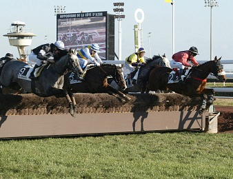 Quinze sauteurs participent au Quinté+ du jour