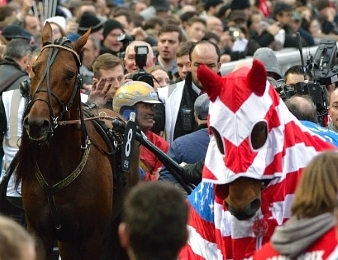 Readly Express est le vainqueur du Grand Prix d'Amérique 2018