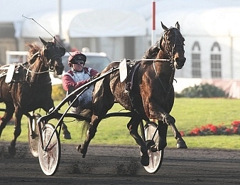 Ready Cash de retour à Vincennes