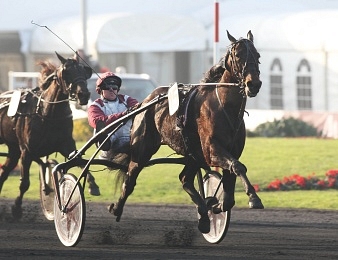 Ready Cash défend son titre dimanche en Belgique