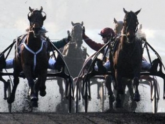 Ready Cash lauréat du Prix d'Amérique 2012