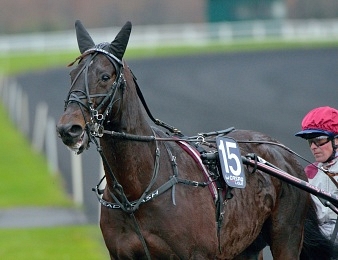Ready Cash faisait ses adieux ce dimanche 9 février à Vincennes