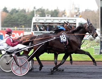 Ready Cash semble filer tout droit vers un doublé de Prix d'Amérique