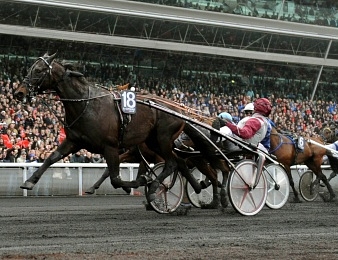 Ready Cash sera au départ du Prix de Buenos-Aires samedi à Enghien