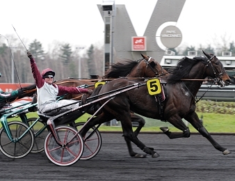 Ready Cash triomphal lauréat du Prix de France 2011