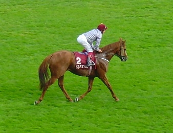 Retour gagnant de Ruler Of The World