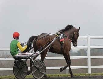 Retrouvez le calendrier des Prix d'Amérique Races ZEturf