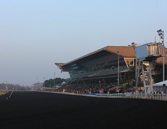 Retrouvez le Prix Louis Forcinal, le Prix du Bois de Vincennes et le Prix Robert Audray