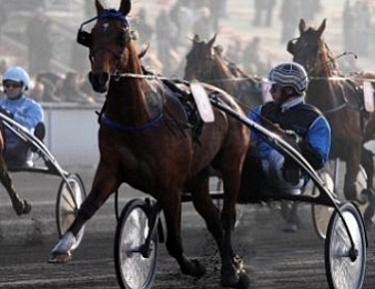 Retrouvez notre page dédiée au Grand Prix d'Amérique 2017