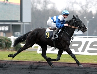 Rêve de Beylev de retour au trot monté