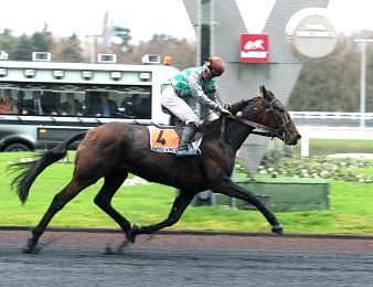 Riglorieux du Bois lors de sa disqualification dans le Prix Paul Buquet