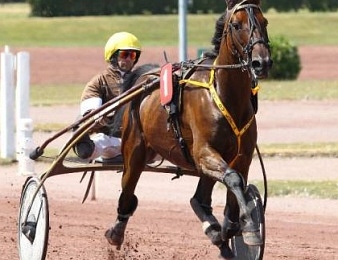 Roi du Lupin