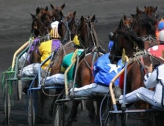 Royal Dream est qualifié pour le Prix d'Amérique