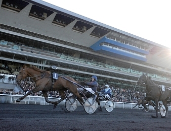 Royal Dream s'est adjugé le Prix de France 2012
