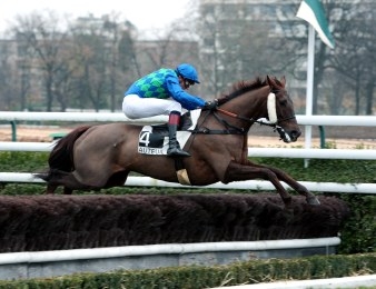 Rubi Ball est en lice dans le Prix Héros XII
