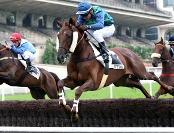 Rubi Ball, lauréat du Prix La Haye Jousselin 2010