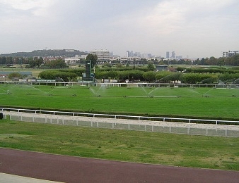 Saint-Cloud accueille le dernier Groupe I de la saison (Galop)