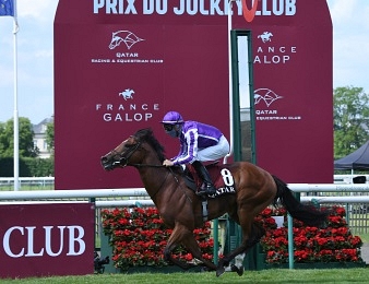 Saint Mark's Basilica remporte le Prix du Jockey Club 2021