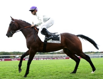 Saint Pellerin fait toutes ses courses