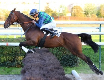 Saint Pistol redescend de catégorie