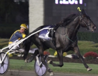 San Pail et Randy Waples sacrés dans la Breeders Crown