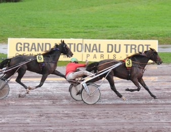 Santa Rosa France domine Quiz de Ginai
