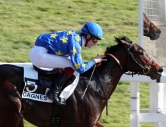 Saônois a remporté le Prix du Jockey Club 2012