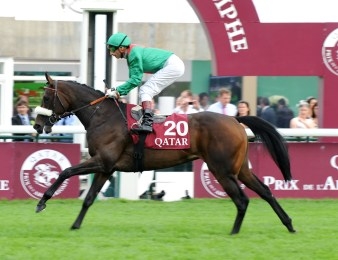 Sarafina, troisième du Prix de l'Arc de Triomphe 2010
