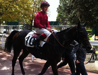 Saubaber remporte le Quinté Plus du jour