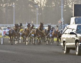 Sauveur sera au départ du Prix Bold Eagle dimanche 8 janvier à Vincennes.