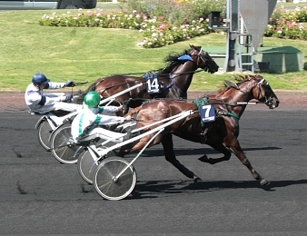 Scoop d'Yvel, champion foudroyé en pleine ascension