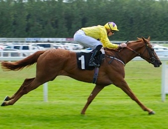 Sea Of Class remporte les Yorkshire Oaks