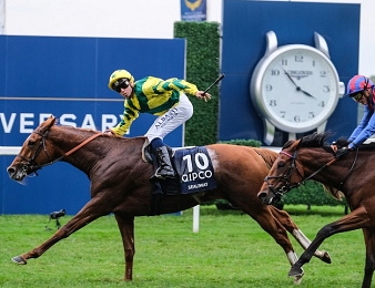Sealiway triomphe dans les Champion Stakes