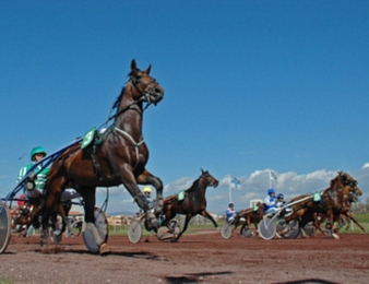 Seize concurrents ont rendez-vous dans l'événement du jour
