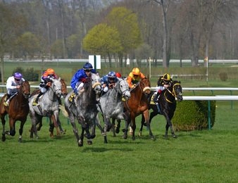 Seize concurrents ont rendez-vous dans le Quinté du jour