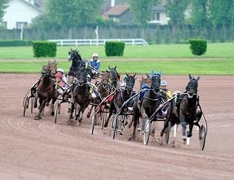 Seize concurrents ont rendez-vous dans le Quinté PMU du jour