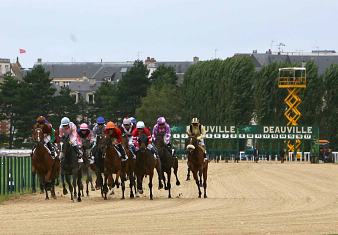 Seize galopeurs participent à ce handicap Quinté+