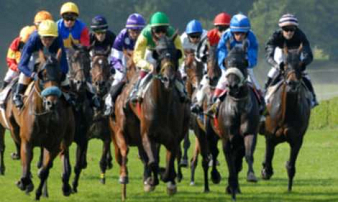 Seize galopeurs participent au Quinté+ du jour.