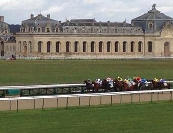 Seize galopeurs prennent part au Tiercé, Quarté, Quinté plus PMU du jour