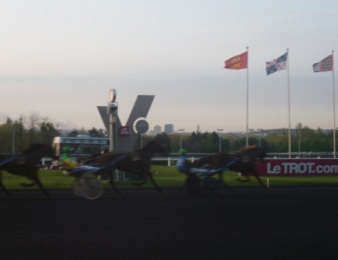 Seize trotteurs prennent part au Quinté+ du jour