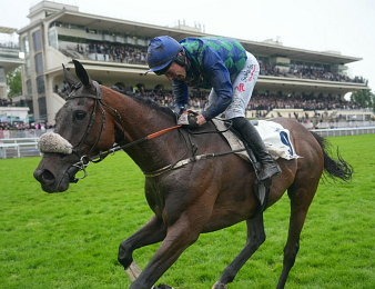 Sem Jem remporte le Grand Steeple-Chase de Paris pour la deuxième fois.