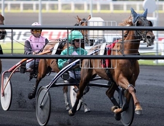Seuls dix trotteurs participeront au Prix de France