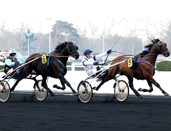 Sévérino et Save The Quick sont sur les rangs