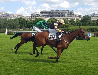 Shaneshill poursuit la dominination étrangère dans le Prix La Barka