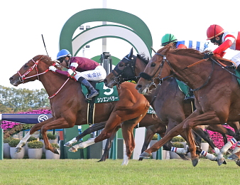 Shin Emperor est le frère du champion Sottsass