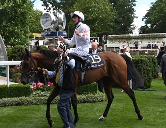 Signor Cabello sera au départ du Prix Morny ce dimanche 19 août à Deauville