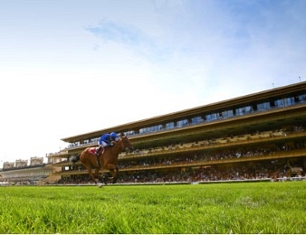 Six autres groupes 1 ont lieu dimanche à ParisLongchamp