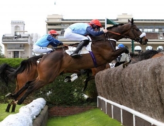 So French devrait rentrer ce dimanche 4 mars à Auteuil