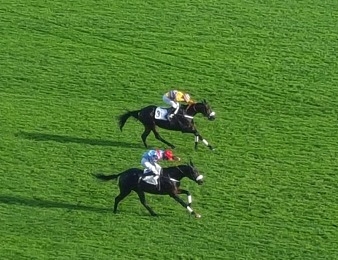 So French roi des 4 ans sur le steeple